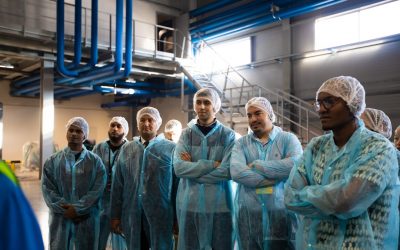 Drug and Alcohol Awareness: Supporting Safe Workplaces